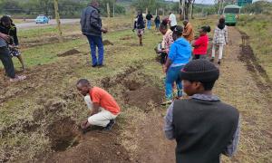 Tree Planting