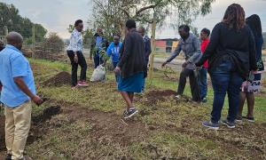 Tree Planting