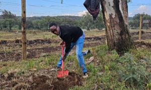 Tree Planting