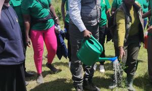 Tree Planting activity at Chepalungu