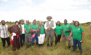 Tree planting images at Chepalungu