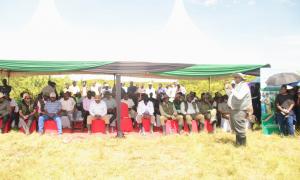 Tree planting images at Chepalungu