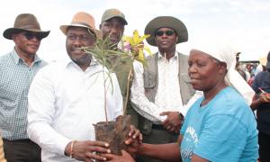 Tree planting images at Chepalungu