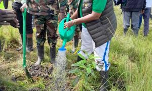Tree Planting in Chepalungu