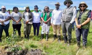 Tree Planting in Chepalungu Forest